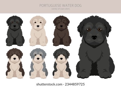 Portuguese water dog puppies clipart. Different poses, coat colors set.  Vector illustration