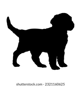 Portugiesischer Wasserdog Welpen Silhouette. Baby dog Silhouette. Welpen