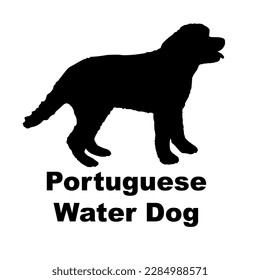 portuguese water Dog silhouette dog breeds