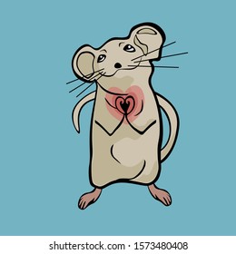 Pose rat brown vector image