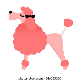 Posh Pink Poodle