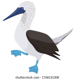 Posing Blue-footed booby. Ocean bird in cartoon style.