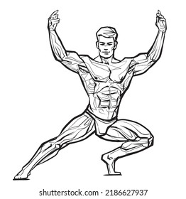 Posing bodybuilder, isolated vector silhouette, ink drawing