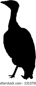 Posing bustard bird vector silhouette