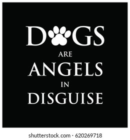 A positive inspirational saying for dog lovers in vector format 