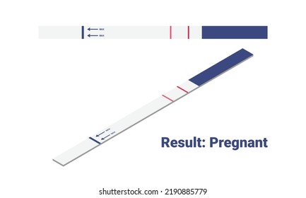 Positive pregnancy test result isometric vector illustration. Pregnancy positive test with 2 stripes flat design clipart. Pregnant result. Medical, female reproductive, planning of pregnancy concept