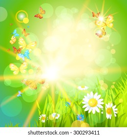 Positive summer background with flowers and insects. Place for text.