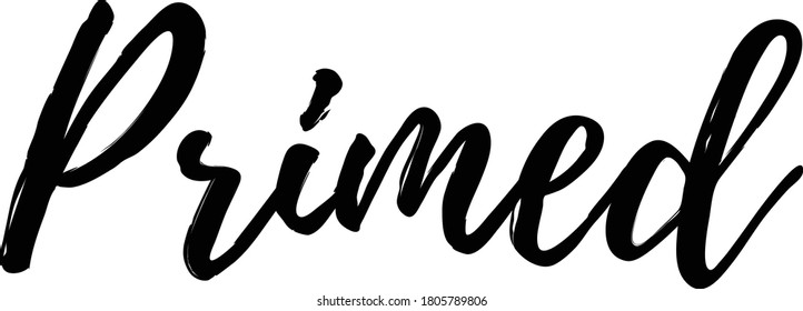 Positive Traits Synonyms text. Only one single word. Printable graphic tee. Design doodle for print. Vector illustration. Colorful. Hand drawn calligraphy style. Black and white