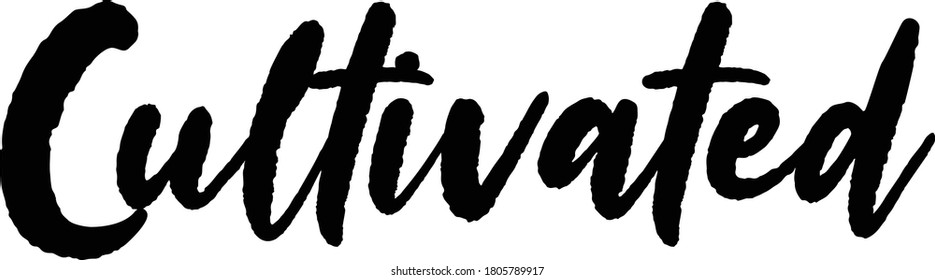 Positive Traits Synonyms text. Only one single word. Printable graphic tee. Design doodle for print. Vector illustration. Colorful. Hand drawn calligraphy style. Black and white