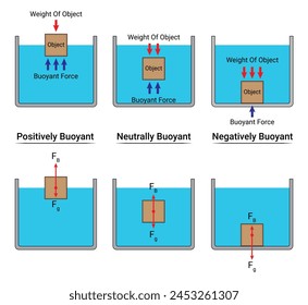 Positively Negatively and Neutrally Buoyant. Science Vector