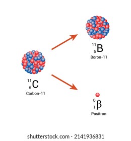 Positron Emission Carbon11 Diagram Stock Vector (Royalty Free ...