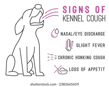 Possible signs of kennel cough. Canine infectious tracheobronchitis. Medical infographic in simple linear style. Horizontal poster. Editable vector illustration isolated on white background.