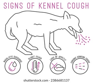 Possible signs of kennel cough. Canine infectious tracheobronchitis. Medical infographic in simple linear style. Horizontal poster. Editable vector illustration isolated on white background.