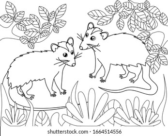 Possum family. Children coloring. Black lines, white background. Cartoon vector illustration