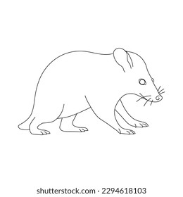 Possum in line art drawing style. Vector illustration.