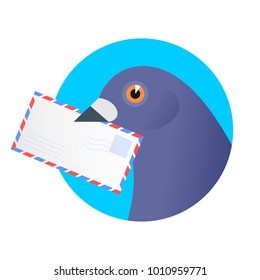 A post pigeon with an envelope in the beak. Flat vector illustration of a homing-pigeon carring avia letter. Receiving a correspondence, postal, bird, dove mail concept isolated on white background.