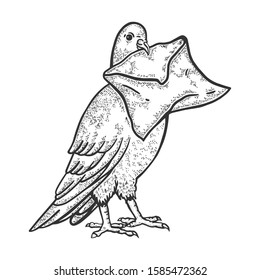 Postal dove pigeon with letter sketch engraving vector illustration. T-shirt apparel print design. Scratch board style imitation. Black and white hand drawn image.