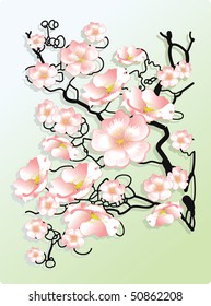 postal on a spring theme branch of tree with colors