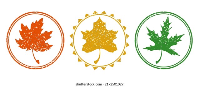 Poststempel und Poststempel. Ahornblätter. Herbstzeichen und -zeichen. Einzeln. Vektorgrafik