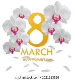 postcard from 8 March
