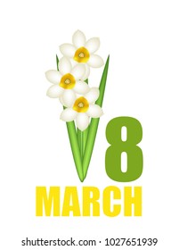 Postcard 8 March