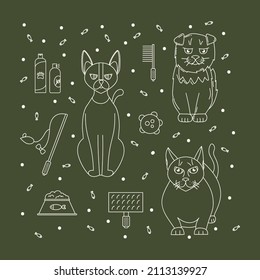 A postcard with accessories for pets. Poster doodle linear cat characters. Love for animals is a cute pattern. Vector illustration