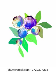 Cartão postal ou arte com elementos botânicos em um estilo vintage. Mirtilos com folhas verdes ou ramos com frutos azuis para a decoração do dia de mirtilo. Vetor.