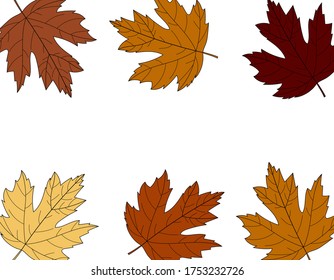 Postcard autumn maple leaves on white background vector illustration