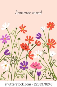 Postcard background with meadow cosmos flowers. Summer botanical post card design, beautiful pretty gentle wild floral plants, spring nature. Blooming herbs, wildflowers. Flat vector illustration