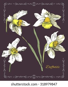 Postcard with beautiful daffodils