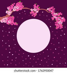 Postcard with blossoming Sakura branches with delicate pink flowers on a magenta background with place for your text, hand drawing vector illustration