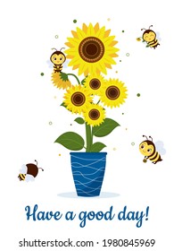 Postcard bouquet of sunflowers in a blue vase and four cute bees on a white background. Vector illustration, cartoon style