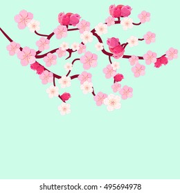 postcard branches of Japanese of the cherry blossoms with buds vector illustration