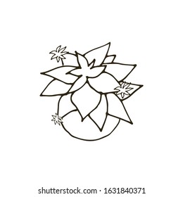 Postcard with a cactus. Circuit. Vector illustration.