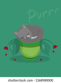 postcard with сute  cat. The pet sleep in a potty pot.  Cartoon image. Vector illustration.