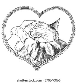 Postcard with a cat, romantic theme for Valentine's day. Hand drawn vector illustration, romantic background.