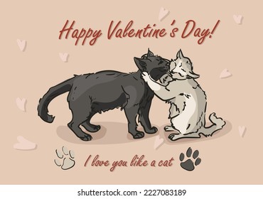 Postcard with cats cuddled on a pink background