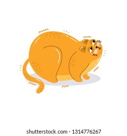 Postcard with the character is a cute hand drawn angry cat. Cat's angry.  Vector illustration