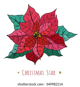 Postcard with Christmas Star. Red flower with green leaves isolated on white background. Hand drawn watercolor botanical illustration for Merry Christmas greeting cards, gifts, printings