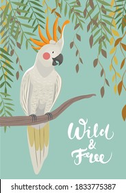 Postcard with cockatoo and text wild and free. Vector illustration of a jungle with a cute parrot.