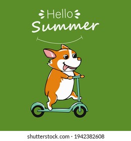 Postcard corgi dog with Kick scooter letter hello summer Cute orange ginger welsh corgi vector cartoon sticker illustration isolated on colored background.