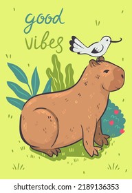 Postcard with a cute capybara and an inscription. Vector graphics.