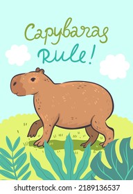 Postcard with a cute capybara and an inscription. Vector graphics.