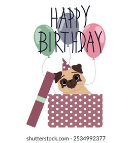 Postcard with a cute pug puppy in a box. Happy birthday. Congratulations with balloons.