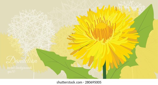 Postcard from dandelions, vector illustration