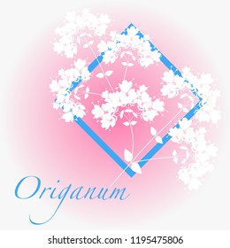 A postcard depicting a flower composition of wild flowers Oregano or Oreganum, can be used as a label, candy packaging or chocolate decoration