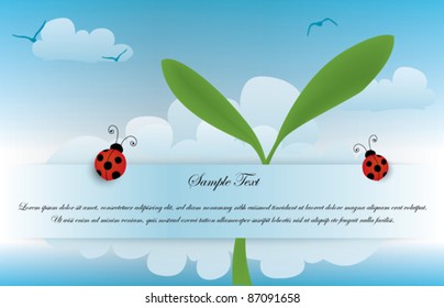 postcard design with blue sky and ladybugs