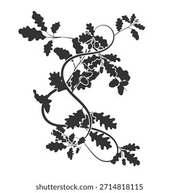 A postcard element, a template for an oak plant ornament. vector image stock