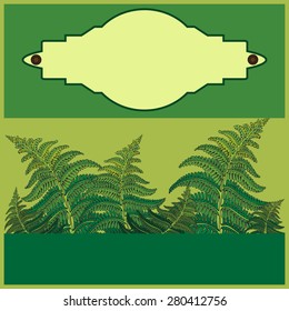 postcard with ferns