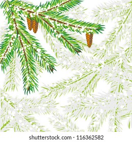 postcard with fir tree vector